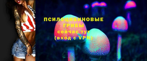 амф Балахна