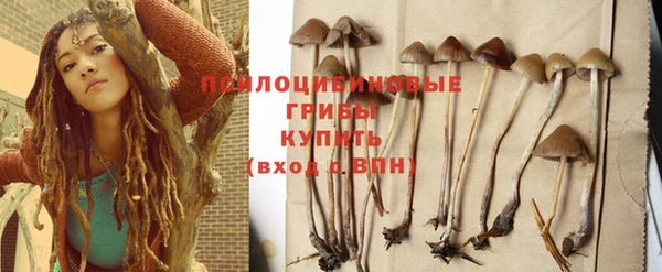 амф Балахна