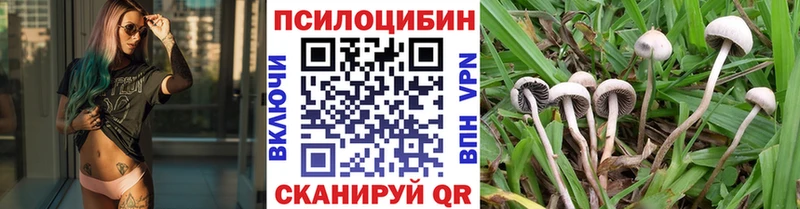 Псилоцибиновые грибы прущие грибы Нязепетровск